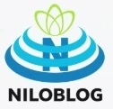 خرید آنلاین بلیط شنا با دلفین در کیش